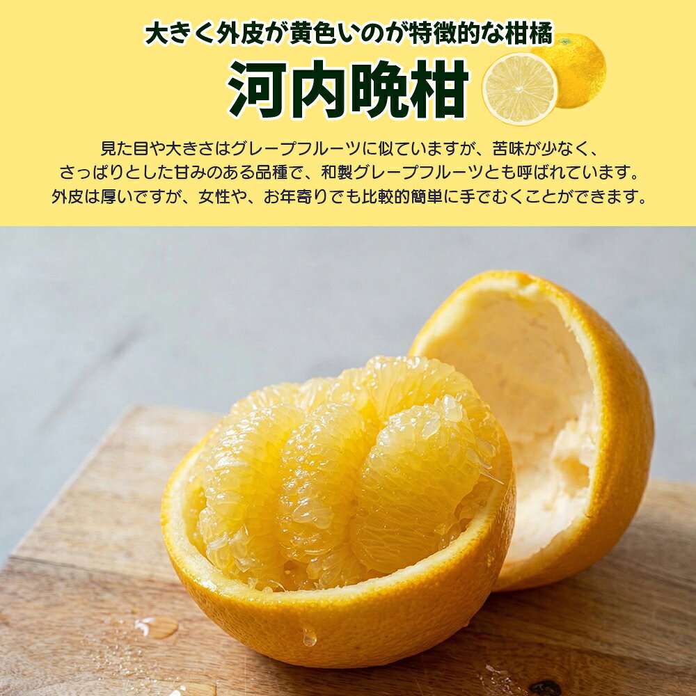 【ふるさと納税】【先行予約】＜天晴晩柑（河内晩柑）家庭用 約1.2kg／3.5kg／10kg 全て ＋300g ＞『2027年4月上旬～5月下旬迄に順次出荷予定』選べる 内容量 果物 柑橘 みかん 和製 グレープフルーツ 食べて応援 特産品 株式会社笑丸 愛媛県明浜産 愛媛県 西予市【常温】 f382141-seiyo-10000500 愛媛県西予市 サンプル画像2