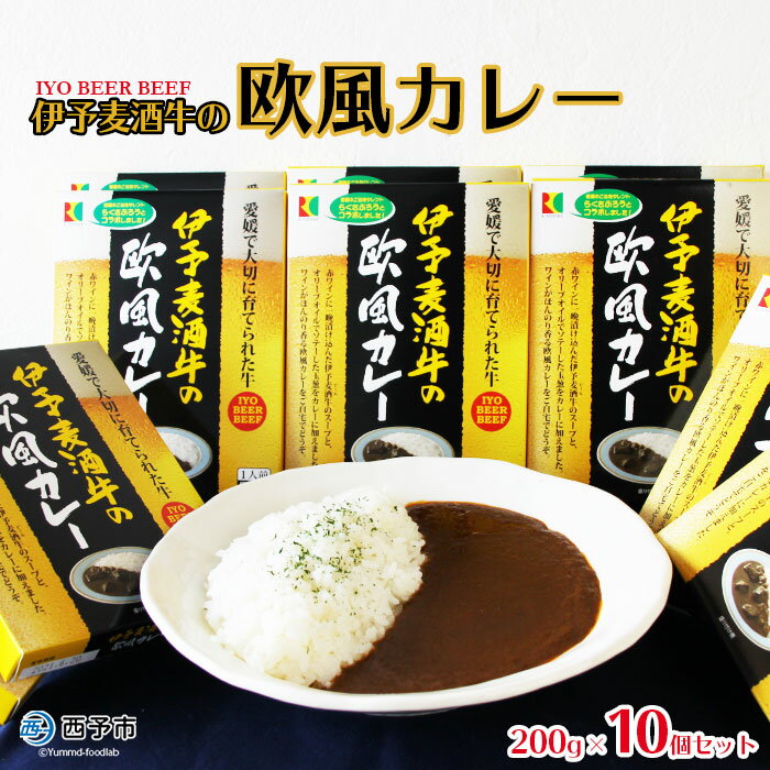 【ふるさと納税】ご当地カレー＜伊予麦酒牛の欧風カレー 10個＞ 1か月以内に順次出荷します 惣菜 加工品 キャンプ 夜食 アール・シー・フードパック レトルト 特産品 愛媛県 西予市 【常温】