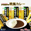 11位! 口コミ数「5件」評価「4.2」ご当地カレー＜伊予麦酒牛の欧風カレー 10個＞※1か月以内に順次出荷します。 惣菜 加工品 キャンプ 夜食 アール・シー・フードパック レト･･･ 