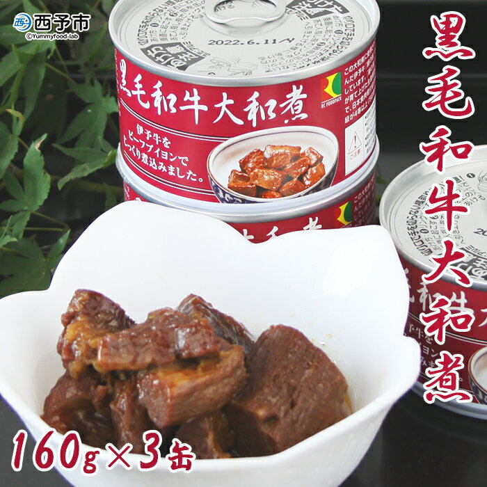 ＜こだわり缶詰 黒毛和牛大和煮 160g×3缶＞ 加工品 お肉 ビーフ お惣菜 おかず おつまみ 煮物 保存食 長期保存 備蓄 手軽 簡単 アール・シー・フードパック 特産品 愛媛県 西予市『1か月以内に順次出荷予定』