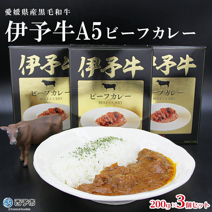 【ふるさと納税】ご当地カレー＜伊予牛A5ビーフカレー 3個＞ 1か月以内に順次出荷します 惣菜 加工品 レトルト キャンプ 夜食 アール・シー・フードパック 特産品 愛媛県 西予市 【常温】