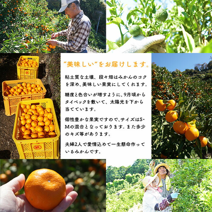 キャンペーンもお見逃しなく 甘みと酸味とのバランスがちょうどよく とてもジューシーで後味が爽やかです 先行予約 浅井果樹園 温州みかん 10kg 早生 柑橘 果物 フルーツ オレンジ 食べて応援 特産品 愛媛県 西予市 2022年10月下旬から11月中旬迄に順次出荷予定 barbaria ... キャンペーンもお見逃しなく 甘みと酸味とのバランスがちょうどよく とてもジューシーで後味が爽やかです 先行予約 浅井果樹園 温州みかん 10kg 早生 柑橘 果物 フルーツ オレンジ 食べて応援 特産品 愛媛県 西予市 2022年10月下旬から11月中旬迄に順次出荷予定 barbaria ...