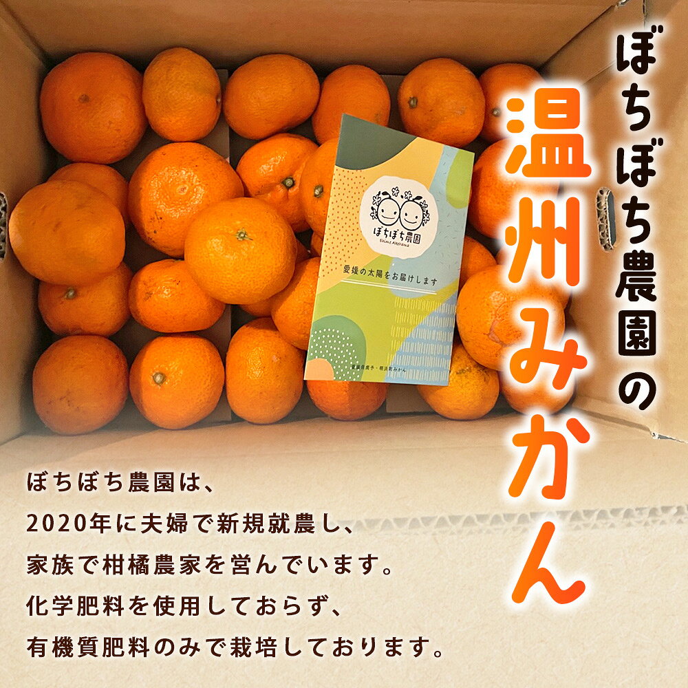 【ふるさと納税】＜ぼちぼち農園の温州みかん 家庭用 3/5kg＞ 選べる 3キロ 5キロ うんしゅうみかん 温州ミカン 訳あり わけあり ワケアリ 果物 みかん ミカン 柑橘 フルーツ 国産 特産品 ぼちぼち農園 愛媛県 西予市【常温】『2026年11月～12月迄に順次出荷予定』 f382141-seiyo-10001207 愛媛県西予市 サンプル画像2