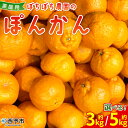 【ふるさと納税】<ぼちぼち農園のぽんかん 家庭用 約3/5kg> 選べる 3キロ 5キロ ぽんかん ポンカン 訳あり わけあり ワケアリ 果物 みかん ミカン ...