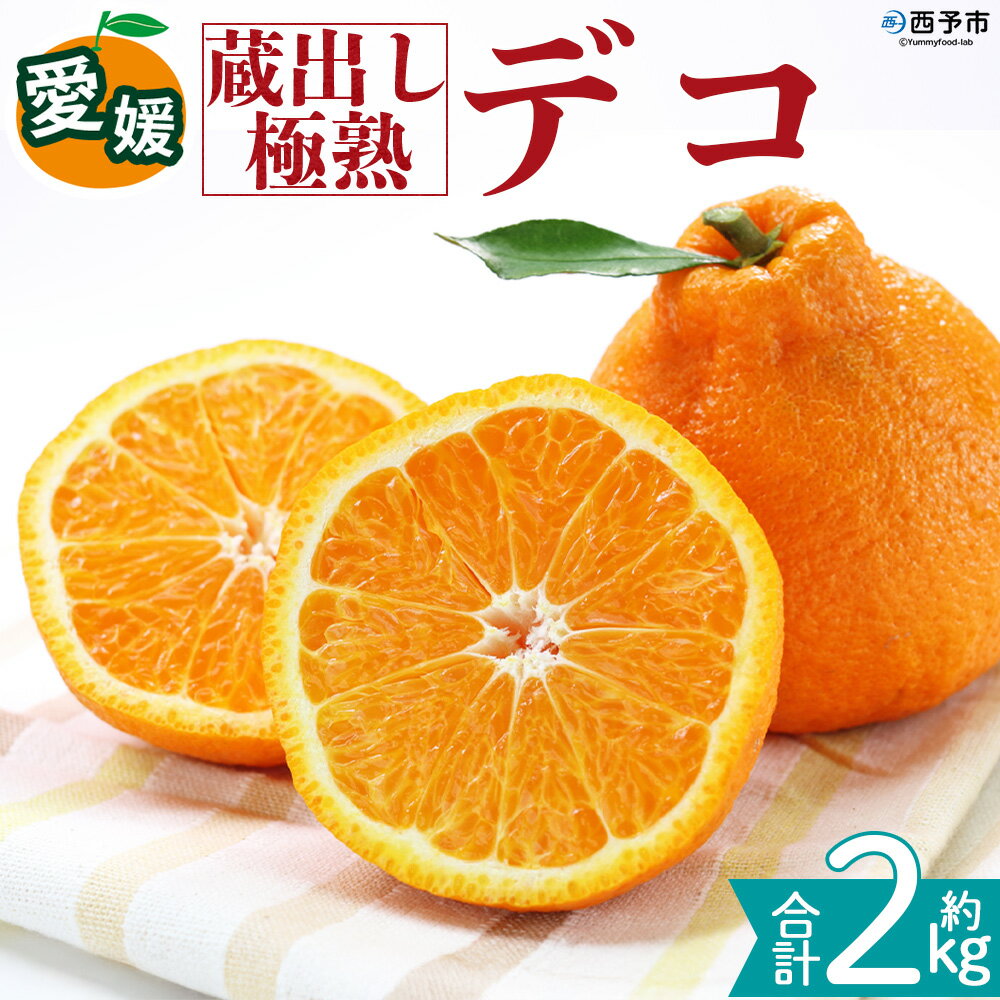 [蔵出し極熟デコ 約2kg]『2027年4月上旬〜8月下旬迄に順次発送予定』 でこぽん デコポン 不知火 しらぬい 熟成 くら 貯蔵 みかん 蜜柑 柑橘 かんきつ 果物 くだもの フルーツ ミカン 愛媛 国産 特産品 株式会社三代目みかん職人 愛媛県 西予市[冷蔵]