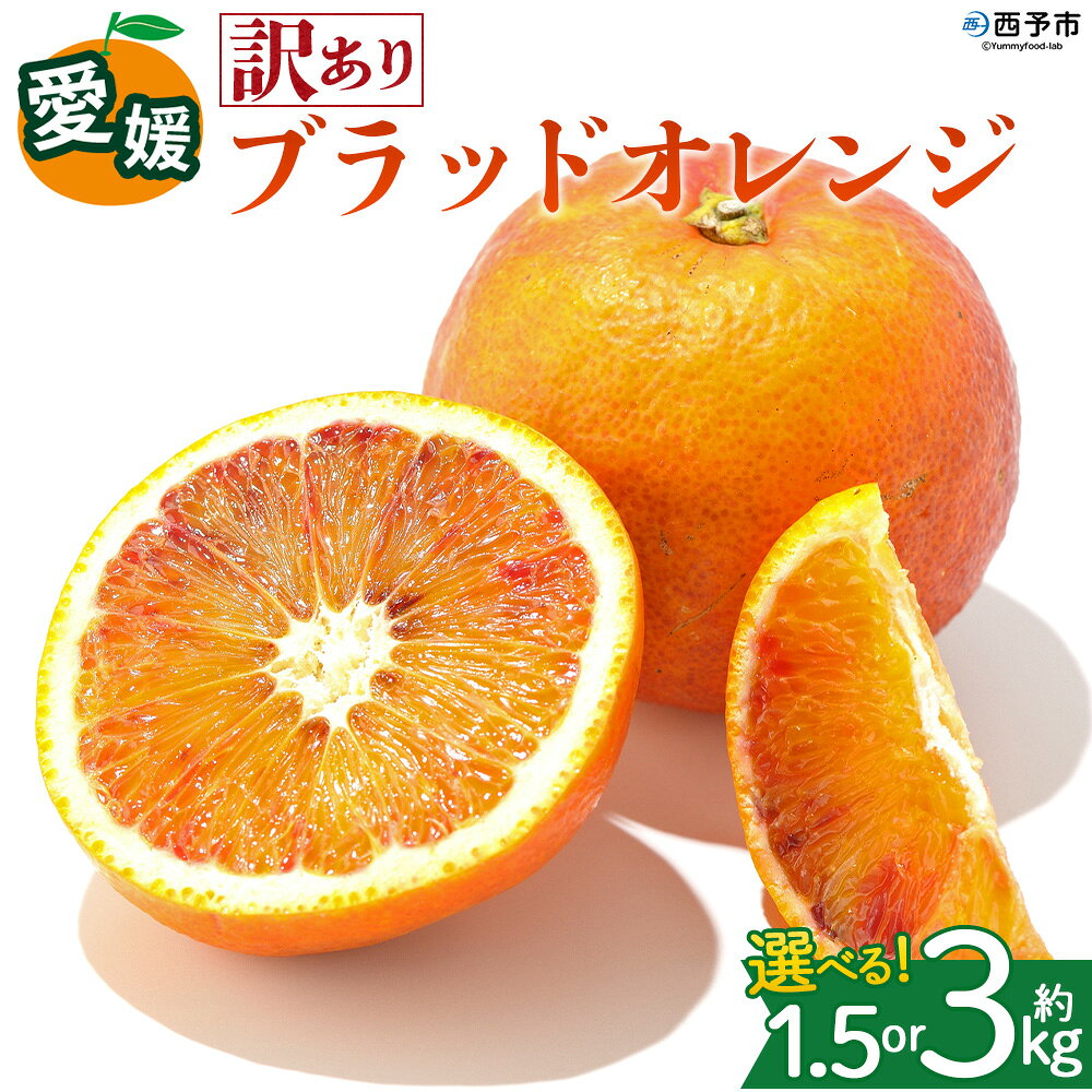 [[訳あり]愛媛県産 ブラッドオレンジ 約1.5kg/3kg]『2027年2月下旬〜3月下旬迄順次発送予定』 選べる 容量 内容量 わけあり ジューシー みかん 蜜柑 果物 くだもの フルーツ ミカン 果汁 国産 特産品 株式会社三代目みかん職人 愛媛 西予市[冷蔵]