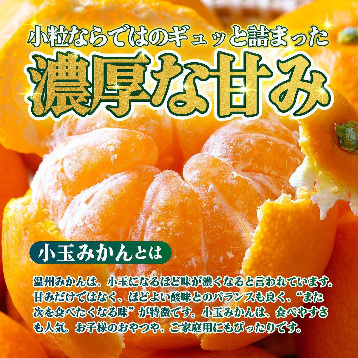【ふるさと納税】＜【訳あり】愛媛県産 小玉みかん 約2kg／5kg＞『2026年11月上旬～1月下旬迄順次発送予定』 選べる 容量 内容量 わけあり 小さい こだま みかん 蜜柑 訳あり 果物 くだもの フルーツ ミカン 果汁 国産 特産品 株式会社三代目みかん職人 愛媛 西予市【常温】 f382141-seiyo-10001448 愛媛県西予市 サンプル画像2