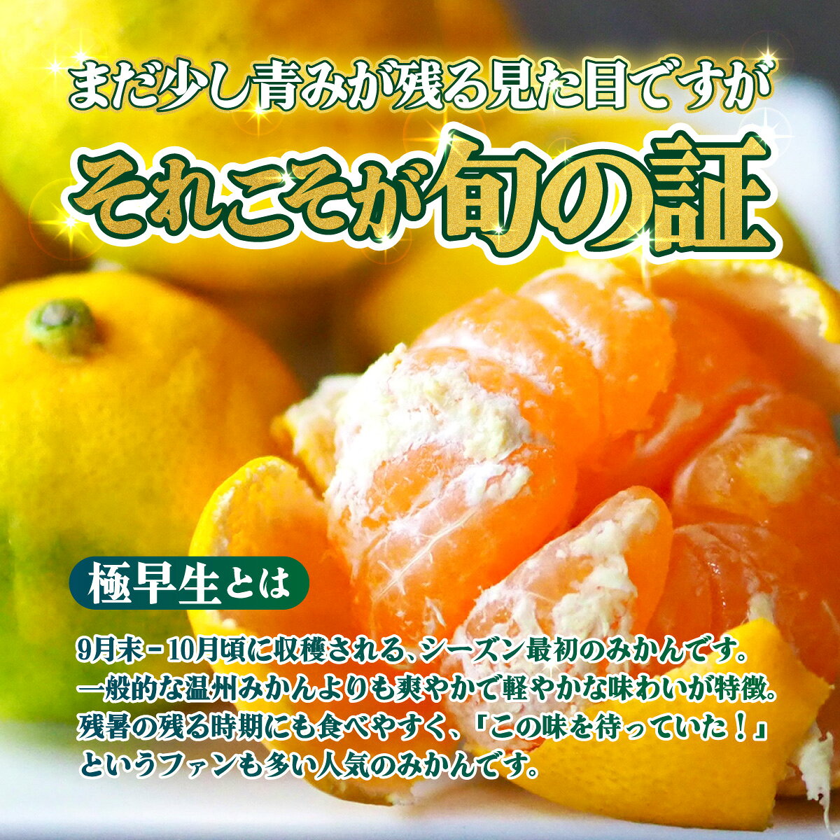【ふるさと納税】＜【訳あり】愛媛県産 極早生 約3kg／5kg＞『2026年10月上旬～11月下旬迄順次発送予定』 選べる 容量 内容量 わけあり 訳アリ ごくわせ みかん 蜜柑 訳あり 果物 くだもの フルーツ ミカン 果汁 国産 特産品 株式会社三代目みかん職人 愛媛 西予市【常温】 f382141-seiyo-10001456 愛媛県西予市 サンプル画像2
