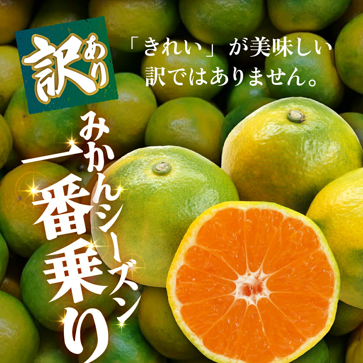 【ふるさと納税】＜【訳あり】愛媛県産 極早生 約3kg／5kg＞『2026年10月上旬～11月下旬迄順次発送予定』 選べる 容量 内容量 わけあり 訳アリ ごくわせ みかん 蜜柑 訳あり 果物 くだもの フルーツ ミカン 果汁 国産 特産品 株式会社三代目みかん職人 愛媛 西予市【常温】 f382141-seiyo-10001456 愛媛県西予市 サンプル画像3