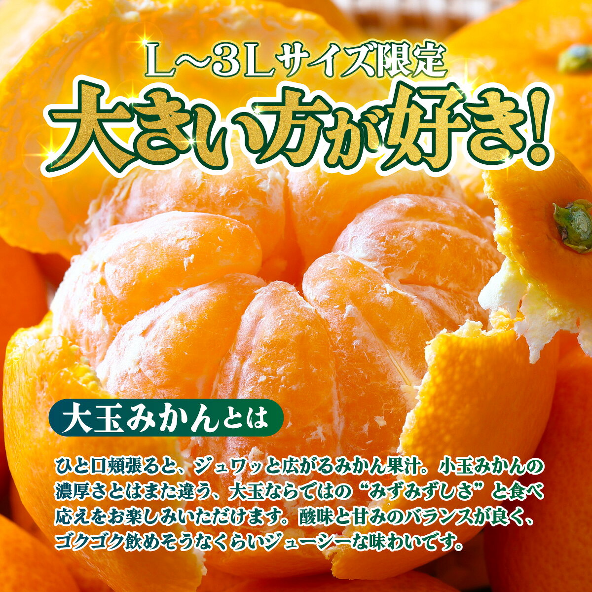 【ふるさと納税】＜【訳あり】愛媛県産 大玉みかん 約2.5kg／5kg＞『2026年11月上旬～1月下旬迄順次発送予定』 選べる 容量 内容量 わけあり 大きい おおだま みかん 蜜柑 果物 くだもの フルーツ ミカン 果汁 国産 特産品 株式会社三代目みかん職人 愛媛 西予市【常温】 f382141-seiyo-10001457 愛媛県西予市 サンプル画像2