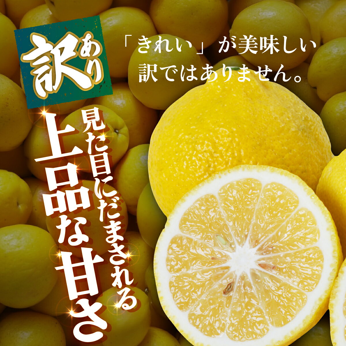 【ふるさと納税】＜【訳あり】愛媛県産 はるか 約1.5kg／3kg＞『2027年2月中旬～3月上旬迄順次発送予定』 選べる 容量 内容量 わけあり ハルカ 産地直送 みかん 蜜柑 訳あり 果物 くだもの フルーツ ミカン 果汁 国産 特産品 株式会社三代目みかん職人 愛媛 西予市【常温】 f382141-seiyo-10001451 愛媛県西予市 サンプル画像3