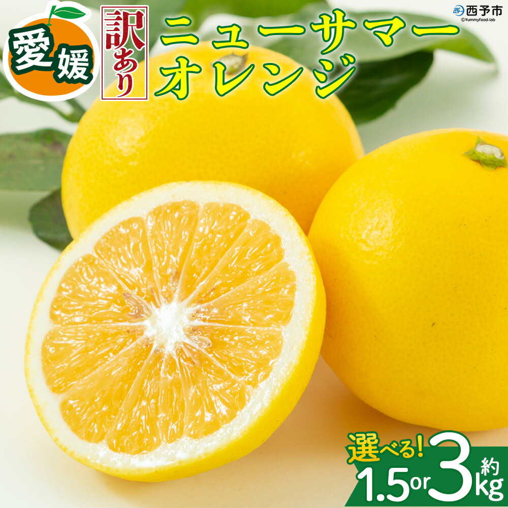[[訳あり]愛媛県産 ニューサマーオレンジ 約1.5kg/3kg]『2027年4月上旬〜5月中旬迄順次発送予定』 選べる 容量 内容量 わけあり 日向夏 みかん 蜜柑 果物 くだもの フルーツ ミカン 果汁 国産 特産品 株式会社三代目みかん職人 愛媛 西予市[冷蔵]