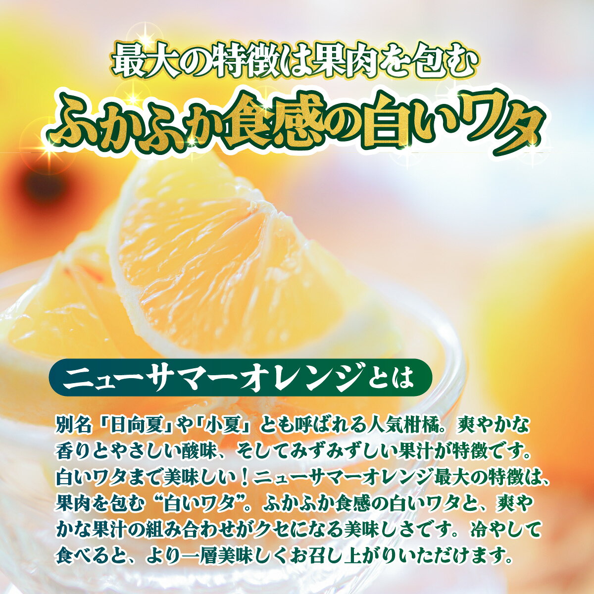 【ふるさと納税】＜【訳あり】愛媛県産 ニューサマーオレンジ 約1.5kg／3kg＞『2027年4月上旬～5月中旬迄順次発送予定』 選べる 容量 内容量 わけあり 日向夏 みかん 蜜柑 果物 くだもの フルーツ ミカン 果汁 国産 特産品 株式会社三代目みかん職人 愛媛 西予市【冷蔵】 f382141-seiyo-10001452 愛媛県西予市 サンプル画像2