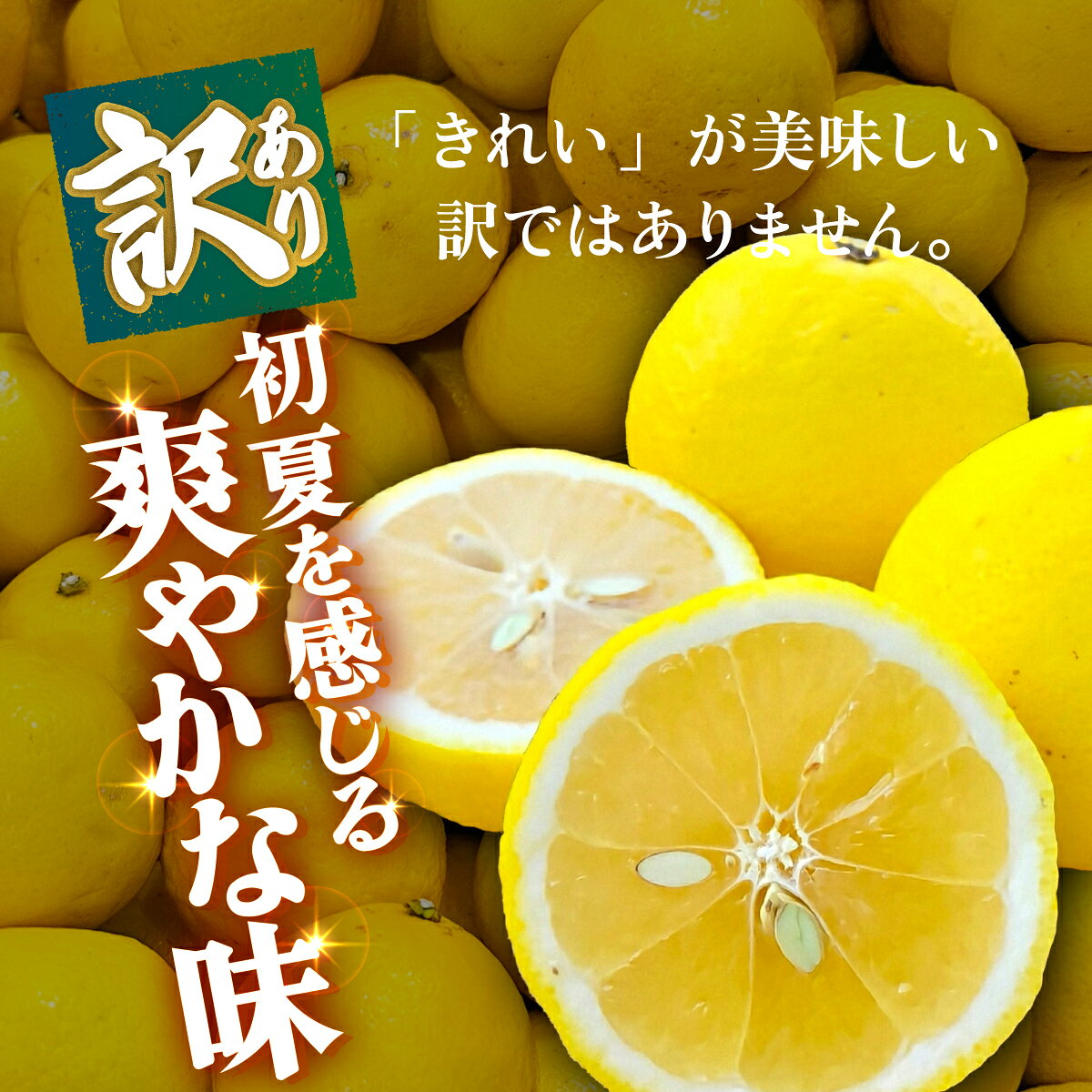 【ふるさと納税】＜【訳あり】愛媛県産 ニューサマーオレンジ 約1.5kg／3kg＞『2027年4月上旬～5月中旬迄順次発送予定』 選べる 容量 内容量 わけあり 日向夏 みかん 蜜柑 果物 くだもの フルーツ ミカン 果汁 国産 特産品 株式会社三代目みかん職人 愛媛 西予市【冷蔵】 f382141-seiyo-10001452 愛媛県西予市 サンプル画像3