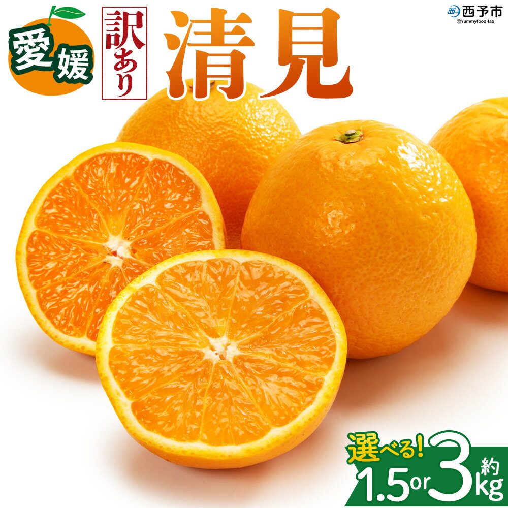 [[訳あり]愛媛県産 清見 約1.5kg/3kg]『2027年2月上旬〜4月下旬迄順次発送予定』 選べる 容量 内容量 わけあり 訳アリ きよみ みかん 柑橘 蜜柑 果物 くだもの フルーツ ミカン 果汁 国産 特産品 株式会社三代目みかん職人 愛媛 西予市[常温]