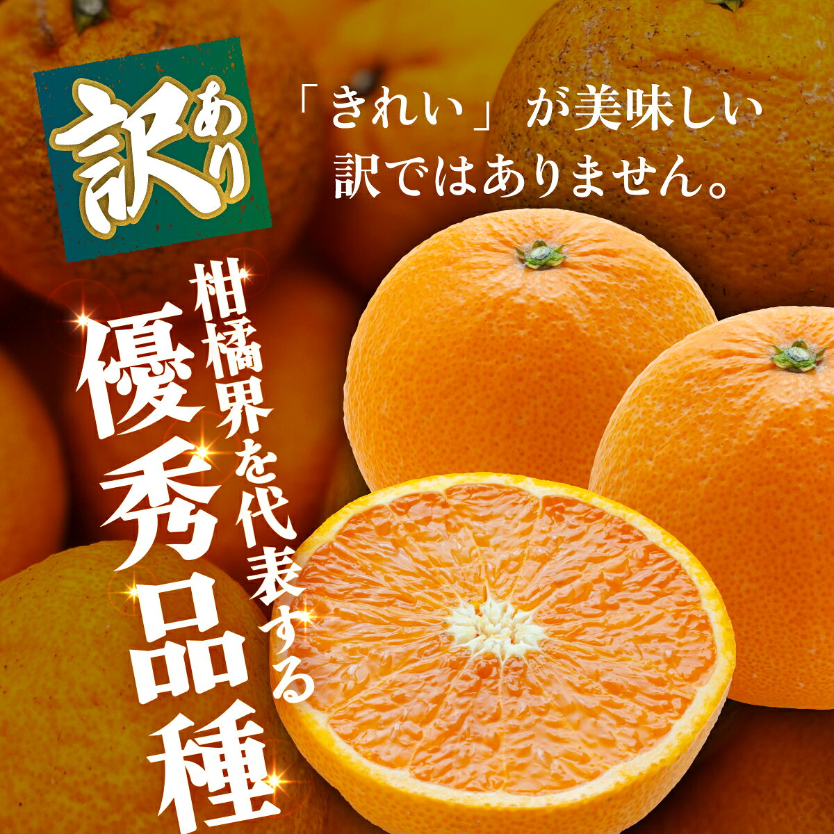 【ふるさと納税】＜【訳あり】愛媛県産 清見 約1.5kg／3kg＞『2027年2月上旬～4月下旬迄順次発送予定』 選べる 容量 内容量 わけあり 訳アリ きよみ みかん 柑橘 蜜柑 果物 くだもの フルーツ ミカン 果汁 国産 特産品 株式会社三代目みかん職人 愛媛 西予市【常温】 f382141-seiyo-10001454 愛媛県西予市 サンプル画像3
