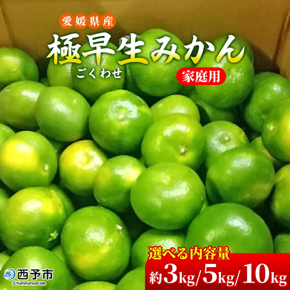 先行予約[愛媛県産 極早生みかん 約3kg/約5kg/約10kg ご家庭用] 温州みかん 家庭用 訳あり 果物 ミカン 柑橘 フルーツ 選べる 食べて応援 特産品 段畑みかん 愛媛県 西予市[常温]『2025年9月中旬〜10月中旬迄に順次出荷予定』