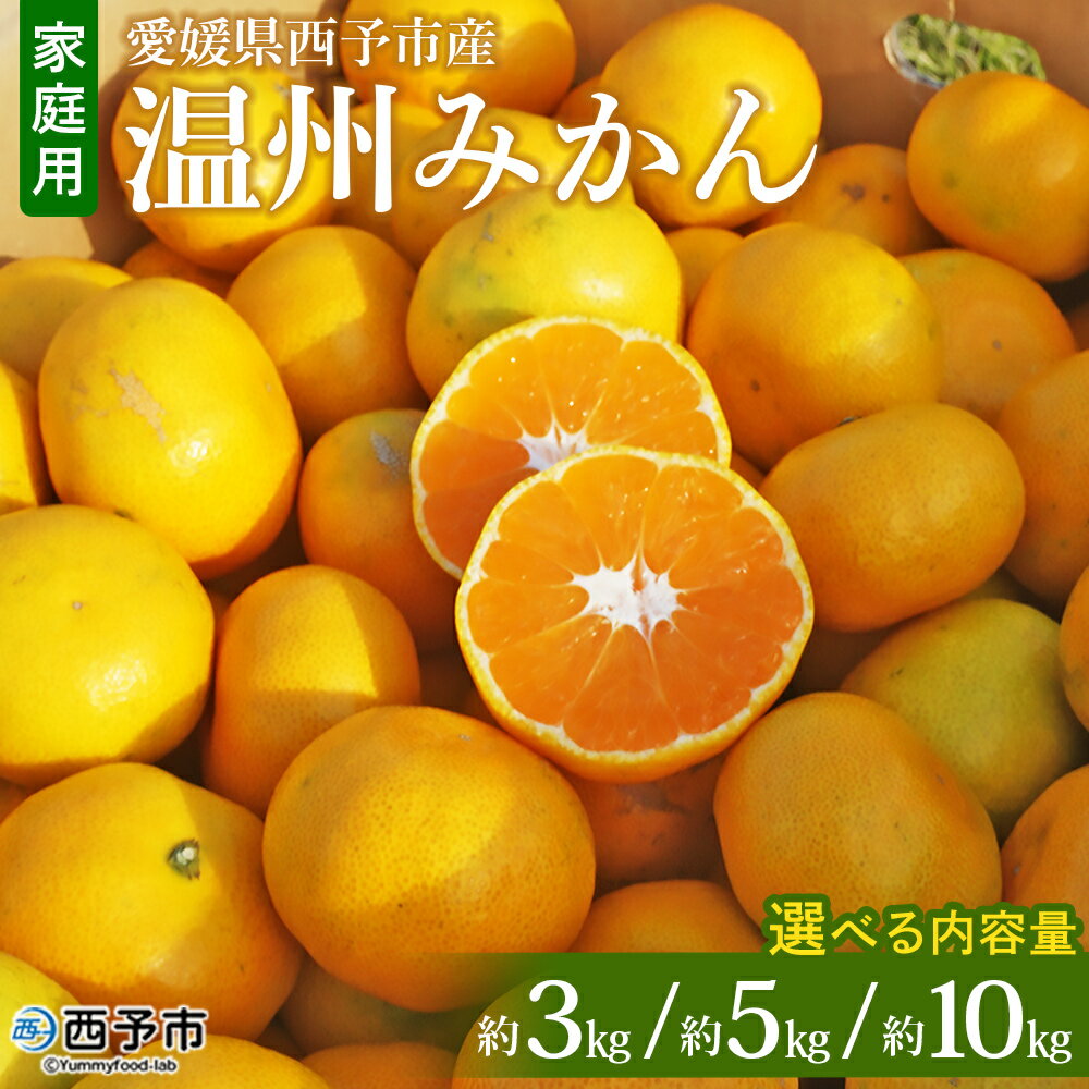 【ふるさと納税】＜愛媛県西予市産 温州みかん 家庭用 約3kg／5kg／10kg ＞ 果物 くだもの うんしゅうみかん ウンシュウミカン ミカン 蜜柑 柑橘 フルーツ 自宅用 訳あり 旬 特産品 産地直送 段畑みかん 愛媛県 西予市【常温】『2024年10月下旬～11月下旬迄に順次出荷予定』のサムネイル