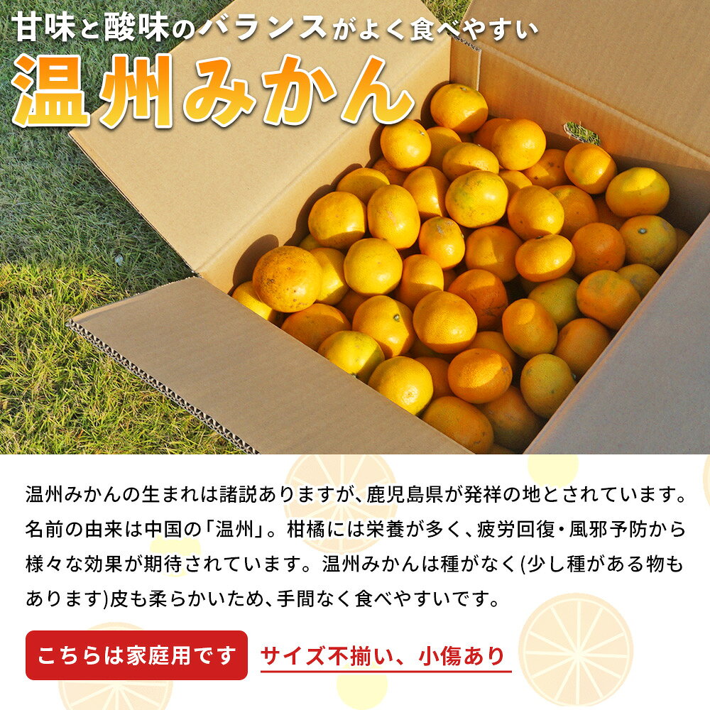 【ふるさと納税】＜愛媛県西予市産 温州みかん 家庭用 約3kg／5kg／10kg ＞ 果物 くだもの うんしゅうみかん ウンシュウミカン ミカン 蜜柑 柑橘 フルーツ 自宅用 訳あり 旬 特産品 産地直送 段畑みかん 愛媛県 西予市【常温】『2026年10月中旬～11月中旬迄に順次出荷予定』 f382141-seiyo-10000362 愛媛県西予市 サンプル画像2