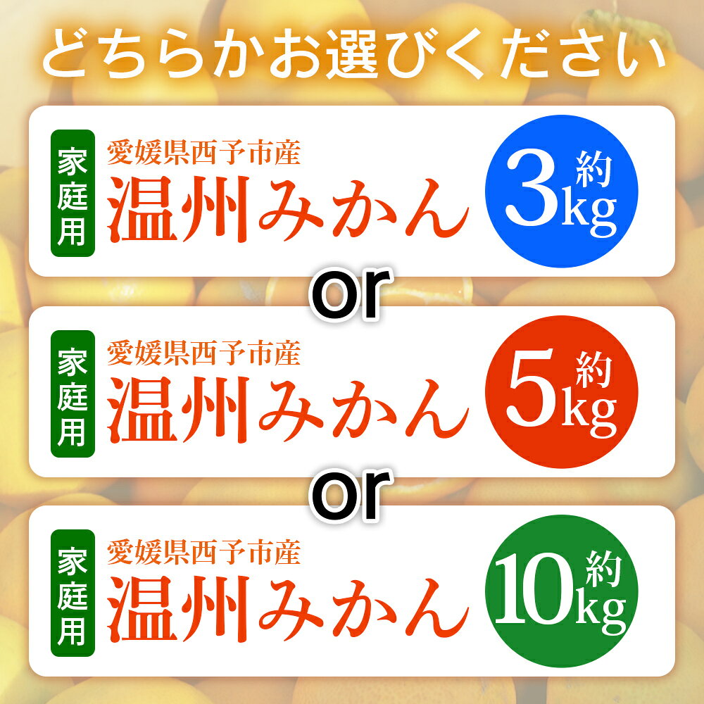 【ふるさと納税】＜愛媛県西予市産 温州みかん 家庭用 約3kg／5kg／10kg ＞ 果物 くだもの うんしゅうみかん ウンシュウミカン ミカン 蜜柑 柑橘 フルーツ 自宅用 訳あり 旬 特産品 産地直送 段畑みかん 愛媛県 西予市【常温】『2026年10月中旬～11月中旬迄に順次出荷予定』 f382141-seiyo-10000362 愛媛県西予市 サンプル画像3