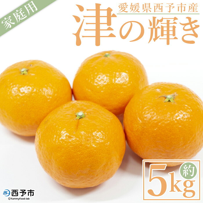 ＜愛媛県西予市産 津の輝き 家庭用 約5kg＞ 訳アリ 果物 ミカン 柑橘 フルーツ 特産品 段畑みかん 愛媛県 西予市 【常温】『2023年1月中旬～1月末までに順次出荷予定』