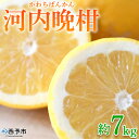 【ふるさと納税】<河内晩柑 約7kg> 果物 くだもの みかん ミカン 柑橘 フルーツ かわちばんかん カワチバンカン ジューシーフルーツ 愛南ゴールド 御荘柑...