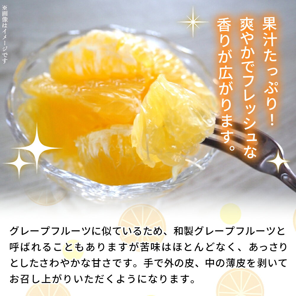�ڤդ뤵��Ǽ�ǡۡ�����մ� ��7kg�� ��ʪ ������� �ߤ��� �ߥ��� ���� �ե롼�� ������Ф󤫤� ������Х󥫥� ���塼�����ե롼�� �������� ���� �� 7���� �û��� ����ľ�� ��Ȫ�ߤ��� ��ɲ�� ��ͽ�ԡھﲹ�ۡ�2026ǯ4����ܡ�5��������˽缡�в�ͽ���
