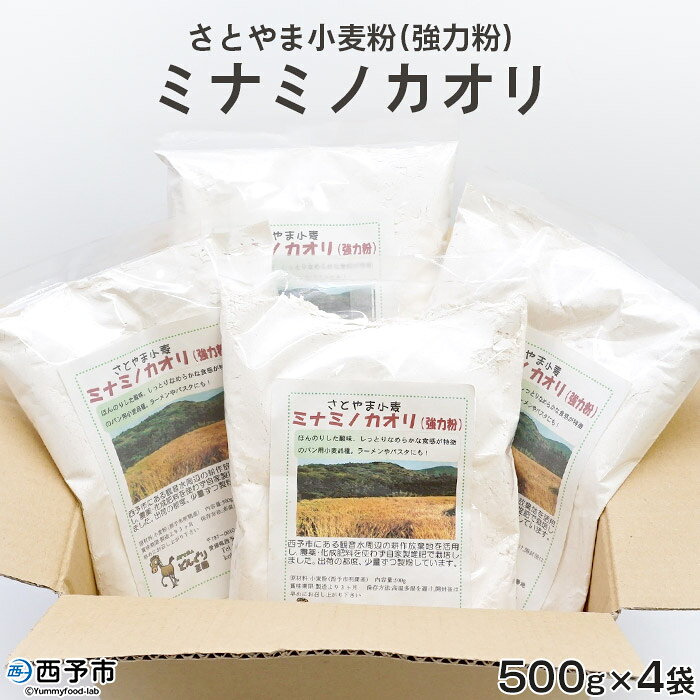 ＜さとやま小麦粉(強力粉) ミナミノカオリ 合計2kg（500g×4袋）＞※1か月以内に順次出荷 パン ラーメン パスタ 特産品 特定非営利活動法人どんぐり王国 愛媛県 西予市【常温】