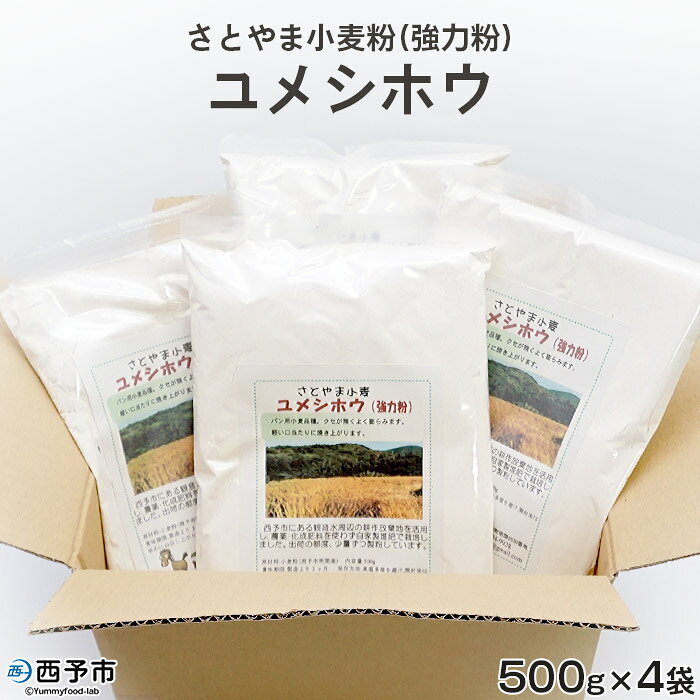 ＜さとやま小麦粉(強力粉) ユメシホウ 合計2kg（500g×4袋）＞※1か月以内に順次出荷 パン ピザ 中華麺 特産品 特定非営利活動法人どんぐり王国 愛媛県 西予市【常温】