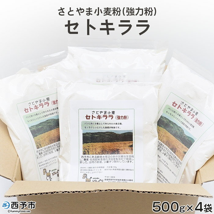 ＜さとやま小麦粉(強力粉) セトキララ 合計2kg（500g×4袋）＞※1か月以内に順次出荷 パン 特産品 特定非営利活動法人どんぐり王国 愛媛県 西予市【常温】