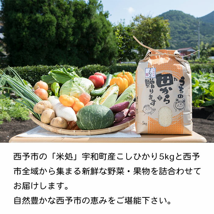 【ふるさと納税】＜西予市 旬の野菜・果物詰合せ(米5kgセット)＞※1か月以内に順次出荷 青果 フルーツ 米 こしひかり 特産品 どんぶり館 食べて応援 愛媛県 西予市 【冷蔵】