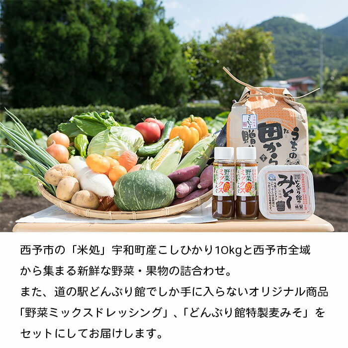 【ふるさと納税】＜西予市 旬の野菜・果物詰合せ(米10kgセット)＞※1か月以内に順次出荷 青果 フルーツ 米 こしひかり 特産品 どんぶり館 愛媛県 西予市 【常温】