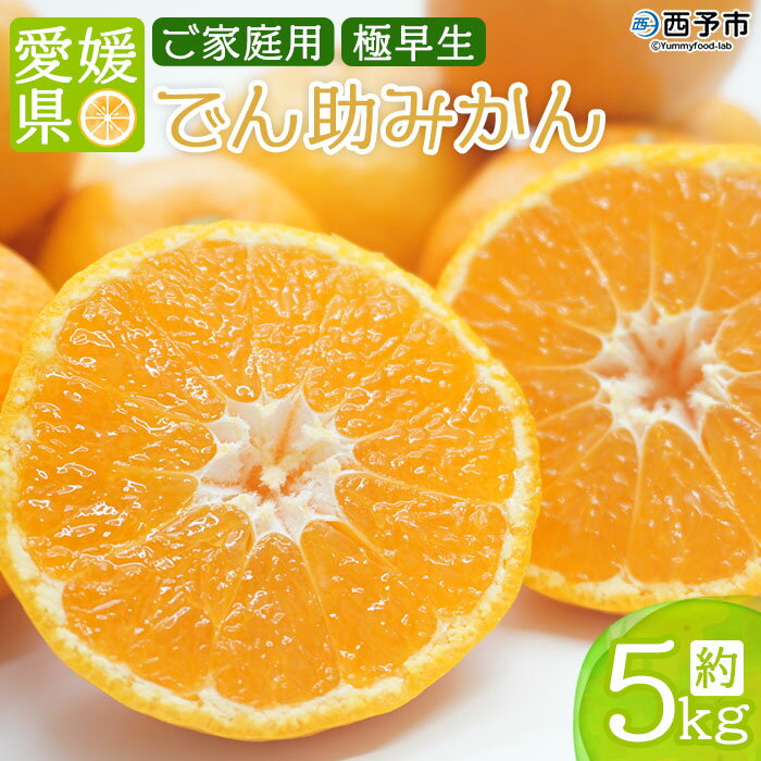 【ふるさと納税】＜愛媛県 西宇和産 でん助みかん （極早生 家庭用） 約5kg ＞ 果物 フルーツ ミカン オレンジ 柑橘類 期間限定 季節限定 特産品 食べて応援 でん助農園 西宇和 愛媛県 西予市 【常温】『2023年10月下旬～11月下旬に順次出荷予定』のサムネイル