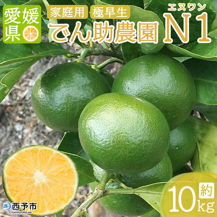 ＜でん助農園 極早生 エヌワン 家庭用 約10kg＞ 果物 フルーツ ミカン オレンジ 柑橘類 N1 えぬわん 温州みかん うんしゅうみかん 直送 国産 特産品 食べて応援 でん助農園 西宇和 愛媛県 西予市 【常温】『2023年9月中旬頃に順次出荷予定』