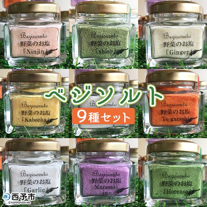 5位! 口コミ数「0件」評価「0」塩＜ベジソルト 9種類＞※1か月以内に順次出荷 野菜 柑橘 かぼちゃ ごぼう しょうが にんにく ほうれん草 みかん 菊芋 紫芋 人参 大葉･･･ 