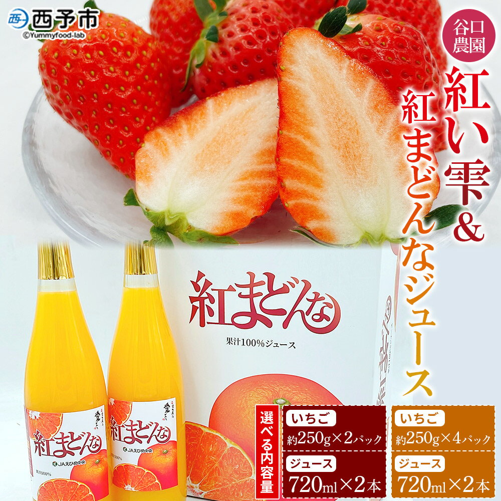 【ふるさと納税】＜谷口農園のいちご「紅い雫」(約250g×2パック／4パック)＆紅まどんなジュース7 ...