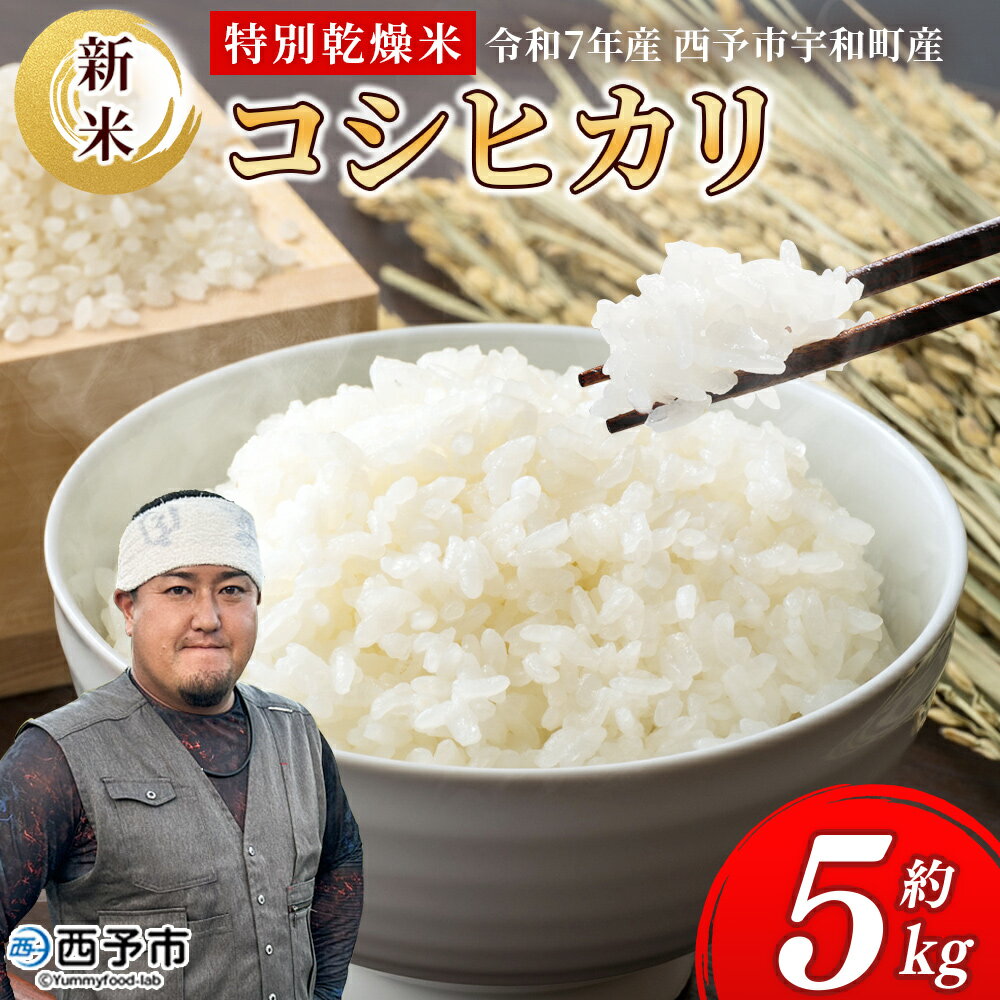 【ふるさと納税】新米<令和7年産 コシヒカリ 5kg>国産 白米 精米 5キロ 愛媛県産 宇和町産 宇和米 こしひかり お米 米 コメ こめ ご飯 うわまい ラ...