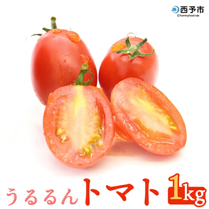 【ふるさと納税】＜ うるるんトマト 約1kg 250g 4パック 1箱 甘くて濃厚な味わい＞ 野菜 とまと ミニトマト 特産品 食べて応援 くまさん農園 愛媛県 西予市【常温】 1か月以内に順次出荷予定 