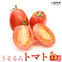 【ふるさと納税】＜ うるるんトマト 約1kg 250g 4パック 1箱 甘くて濃厚な味わい＞ 野菜 とまと ミニトマト 特産品 食べて応援 くまさん農園 愛媛県 西予市【常温】 1か月以内に順次出荷予定 