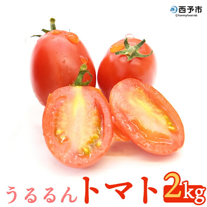 【ふるさと納税】＜ うるるん トマト 約2kg 250g 4パック 2箱 甘くて濃厚な味わい＞ 野菜 とまと ミニトマト 特産品 食べて応援 くまさん農園 愛媛県 西予市【常温】 1か月以内に順次出荷予定 