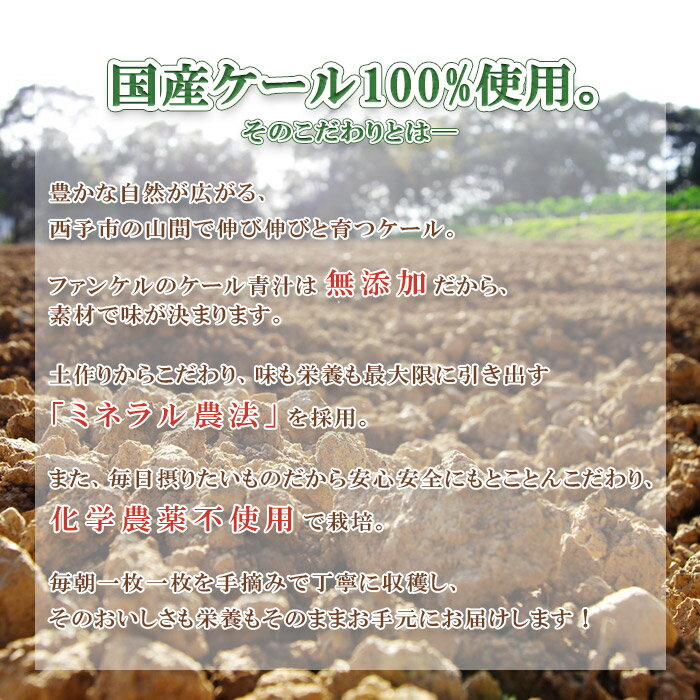 【ふるさと納税】＜ファンケル 西予市産 搾りたてケール青汁 3,000g 1箱(100g×15袋×2)＞※1か月以内に順次出荷 濃縮野菜 国産 あおじる 無添加 ミネラル農法 化学農薬不使用 飲料 ドリンク 飲み物 小分け FANCL 産地直送 特産品 グリーンヒル 愛媛県 西予市【冷凍】