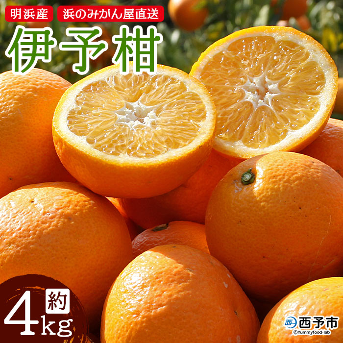 ＜伊予柑 約4kg 浜のみかん屋 直送＞ 明浜産 イヨカン いよかん 果物 フルーツ みかん オレンジ 柑橘類 特産品 愛媛県 西予市 【常温】『2023年1月中旬～1月下旬迄に順次出荷予定』
