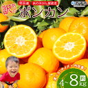 【ふるさと納税】<訳あり ポンカン 約4kg / 8kg> 選べるサイズ 大きい 大玉 小さい 小玉 中玉 食べやすい ぽんかん 家庭用 果物 フルーツ おいしい 甘い 柑橘類 明浜産 あけはま ご自宅用 浜のみかん屋 愛媛県 西予市【常温】『2026年1月下旬~2月中旬迄に順次出荷』