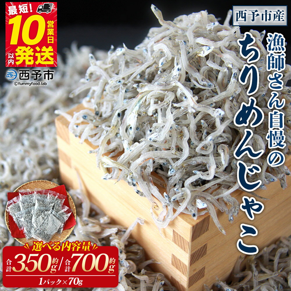 【ふるさと納税】<漁師さん自慢のちりめんじゃこ 合計350g/700g(1パック70g入り)> しらす シラス おじゃこ 魚 さかな 小魚 魚介類 乾燥 海の幸 海鮮 小分け 個包装 おすそ分け 国産 産地直送 送料無料 特産品 濱田水産 愛媛県 西予市【冷蔵】『最短10営業日以内に発送』