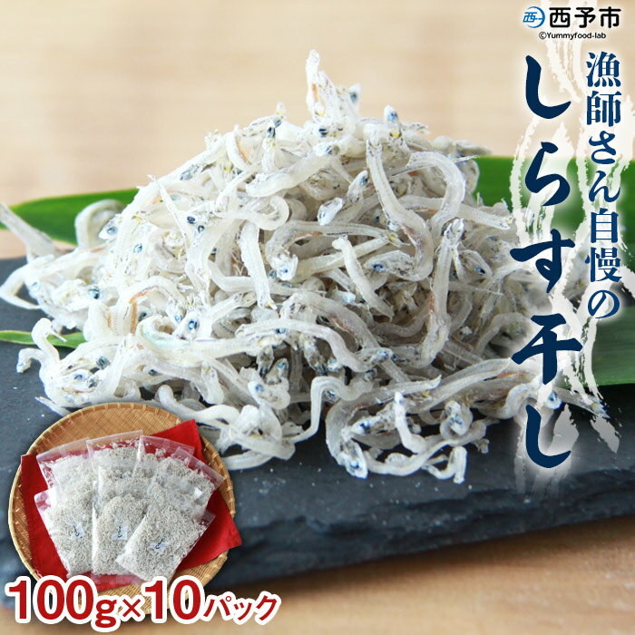 4位! 口コミ数「5件」評価「4.8」＜漁師さん自慢のしらす干し 1kg(100g×10パック)＞ シラス 魚介類 さかな 海産物 海鮮 海の幸 小分け 国産 ご飯のお供 丼 お･･･ 