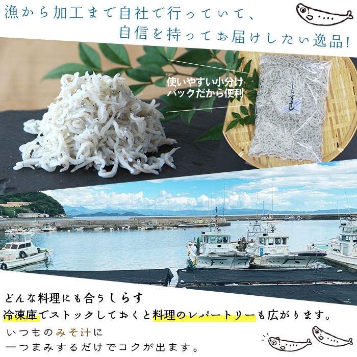 【ふるさと納税】＜漁師さん自慢のしらす干し 1kg(100g×10パック)＞ シラス 魚介類 さかな 海産物 海鮮 海の幸 小分け 国産 ご飯のお供 丼 おつまみ 晩酌 おかず おやつ 特産品 産地直送 濱田水産 愛媛県 西予市 【冷凍】『1か月以内に順次出荷予定』