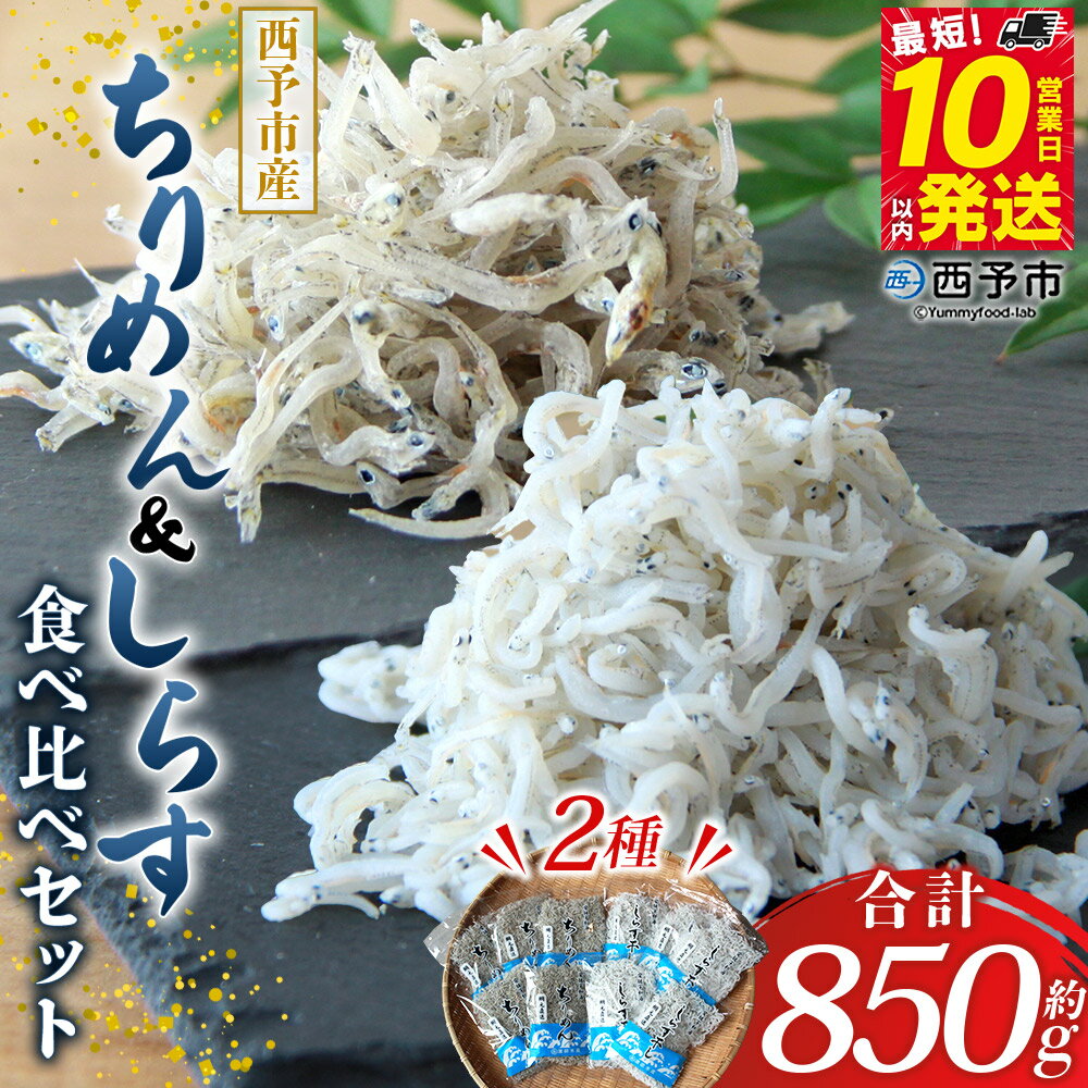 [ちりめん&しらす干し 食べ比べセット 合計850g] ちりめん70g×5 しらす干し100g×5 西予市産 詰め合わせ チリメン シラス 魚介 海産物 海鮮 家庭用 贈答用 小分け 国産 特産品 産地直送 濱田水産 愛媛県 西予市[冷凍]『最短10営業日以内に発送予定』