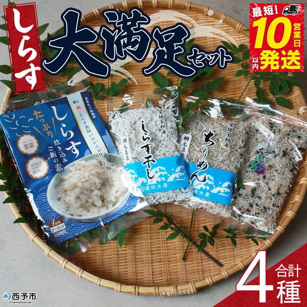 [しらす大満足セット 合計4種]炊き込み 西予市産 ちりめん しらす干し 食べ比べ 健康 詰め合わせ つめあわせ チリメン シラス 魚介 海産物 海鮮 家庭用 贈答用 小分け 国産 特産品 産地直送 濱田水産 愛媛県 西予市[冷凍]『最短10営業日以内に発送』