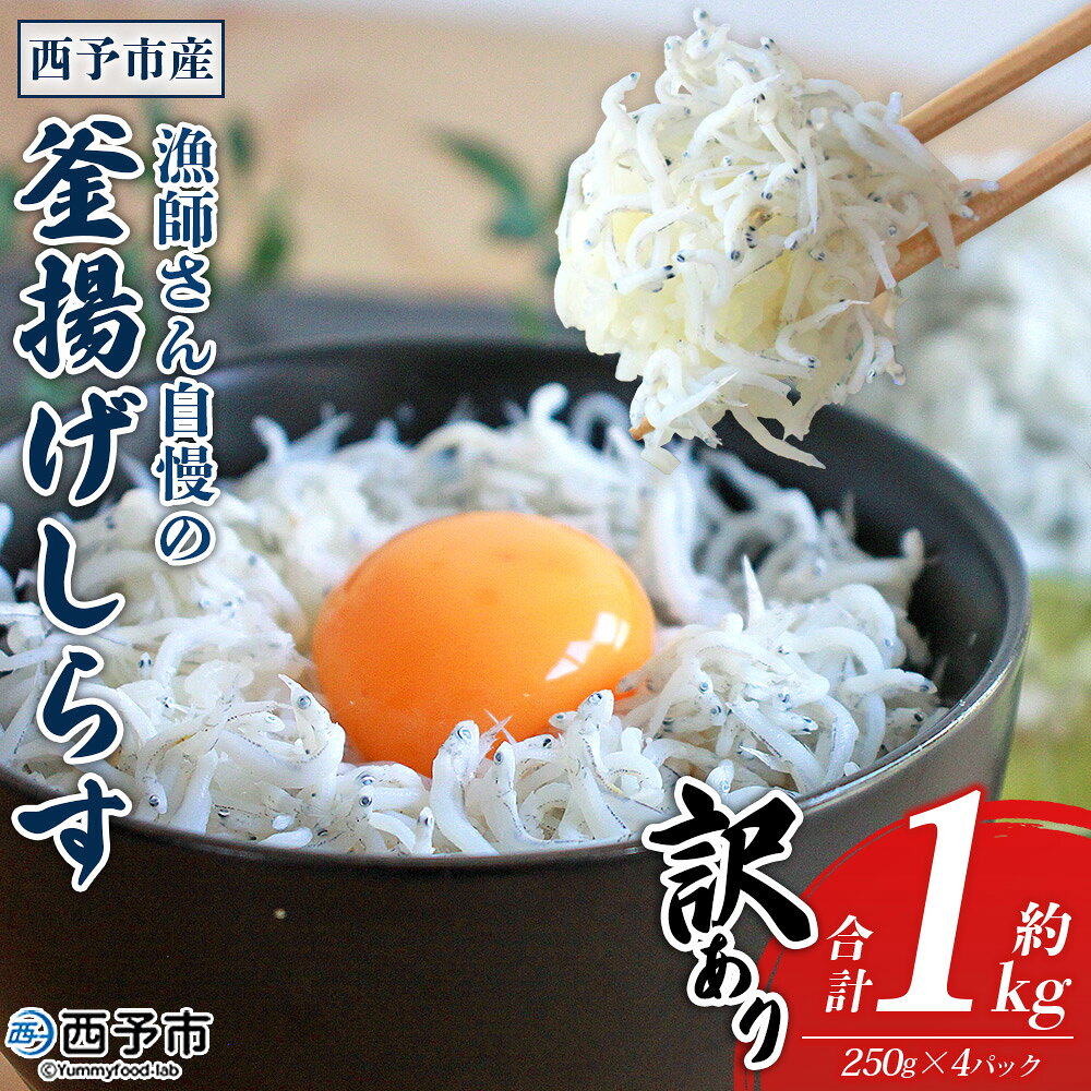 ＜訳あり 漁師さん自慢の釜揚げしらす1kg（250g×4パック）＞ 健康 カルシウム シラス 魚介類 さかな 海産物 海鮮 海の幸 小分け 国産 ご飯のお供 丼 おつまみ 晩酌 おかず 特産品 産地直送 濱田水産 愛媛県 西予市【冷凍】『1か月以内に順次出荷予定』