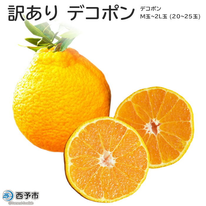 【ふるさと納税】＜訳あり デコポン 計5kg 計20玉～25玉＞※2022年2月下旬から順次出荷します。 家庭用 自家消費 果物 ミカン 柑橘 フルーツ 食べて応援 特産品 堀内農園 西宇和 愛媛県 西予市【常温】